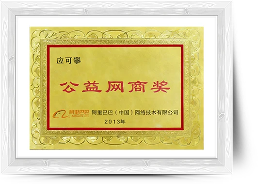 Public Welfare Online Merchant Award